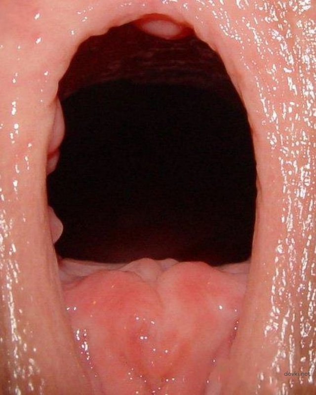 Extreme Close-Up of Wet Pussy - Hardcore XXX Photo