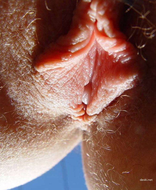 Close-Up Shot of College Student's Pussy - Explicit Amateur Photo