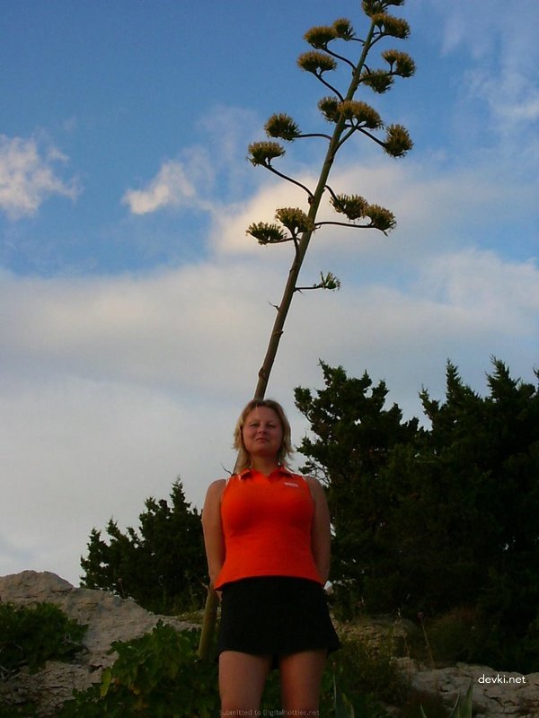 Hot Young Wife Gives Husband Blowjob - Explicit Amateur Oral Sex