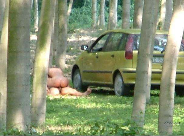 Private Erotic Photo Compilation Part 17: Explicit Amateur XXX Pics
