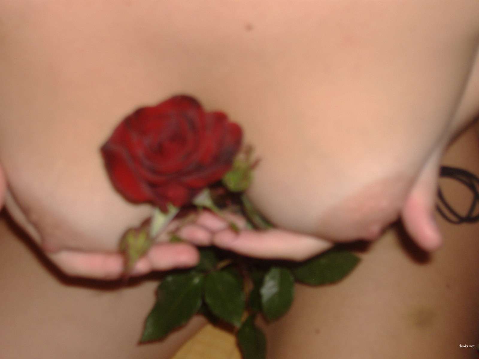 Explicit Amateur Photo: Pussy with Rose - Hot and Sexy Close-Up Shot