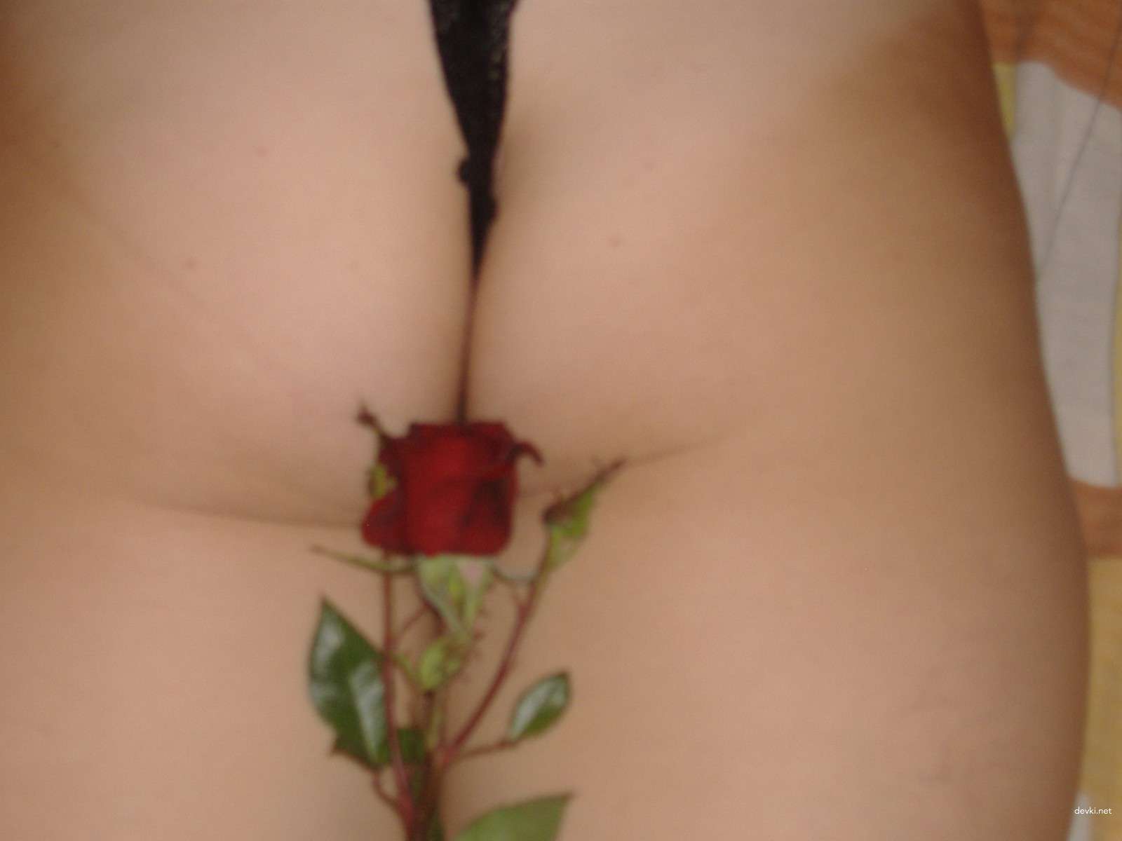 Explicit Amateur Photo: Pussy with Rose - Hot and Sexy Close-Up Shot