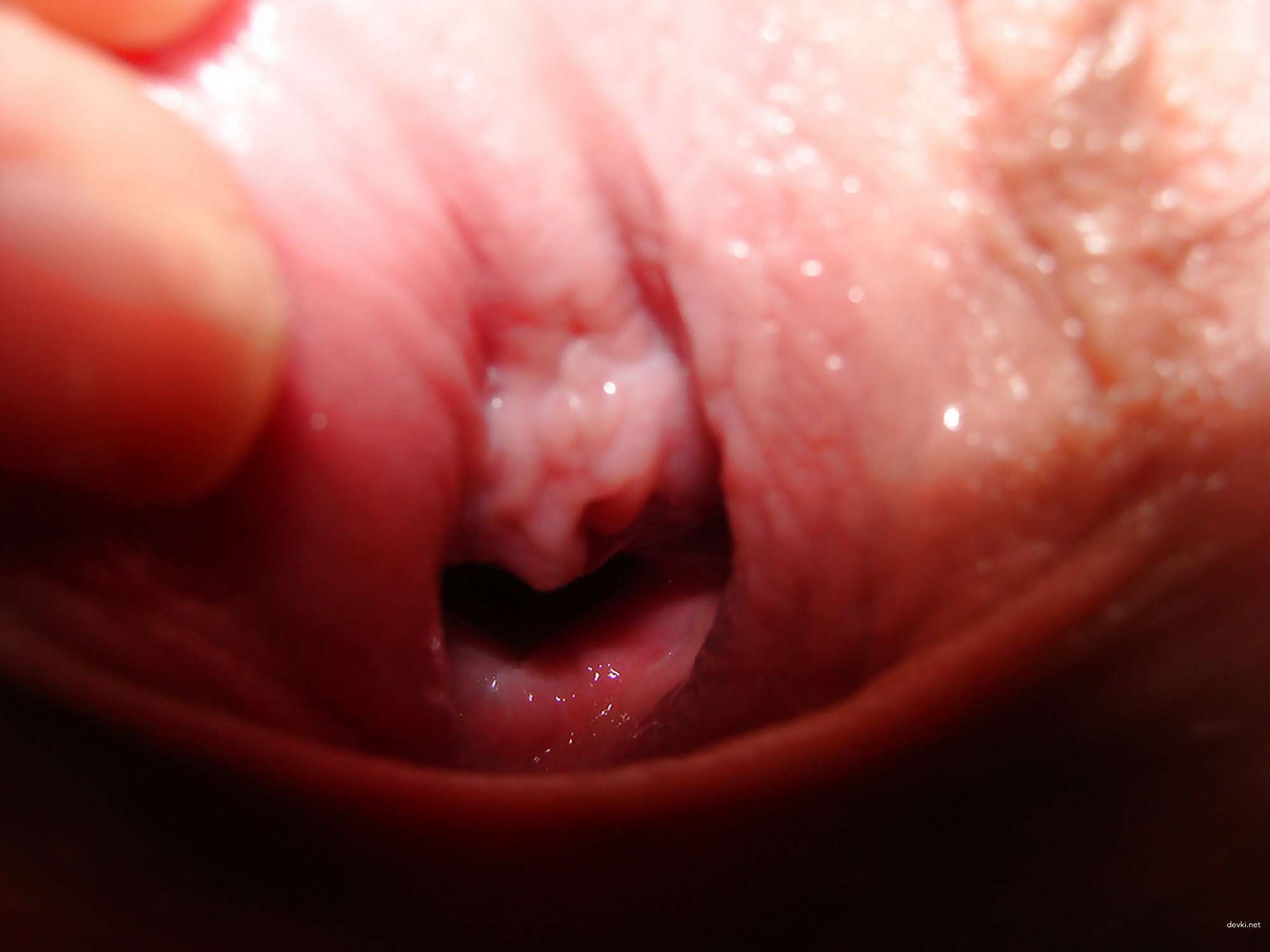 Intimate Close-Up Porn Photo with Wife: Explicit and Bold!