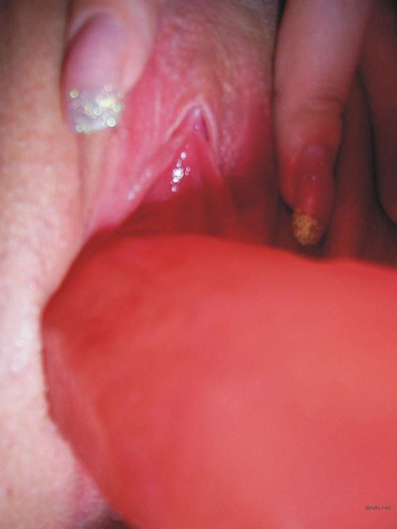 Woman Masturbates with Dildo and Sucks Cock in Solo Porn
