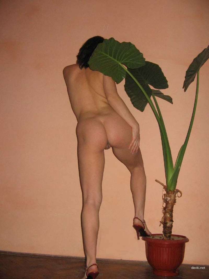 Amateur Naked Wife: Explicit Homemade Photo Collection