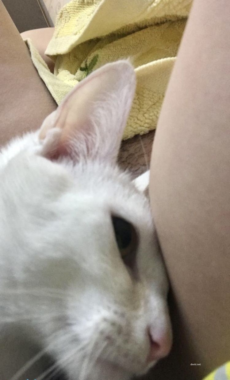 Naked Wife and Pussy Amateur Photo - Explicit Homemade Erotica