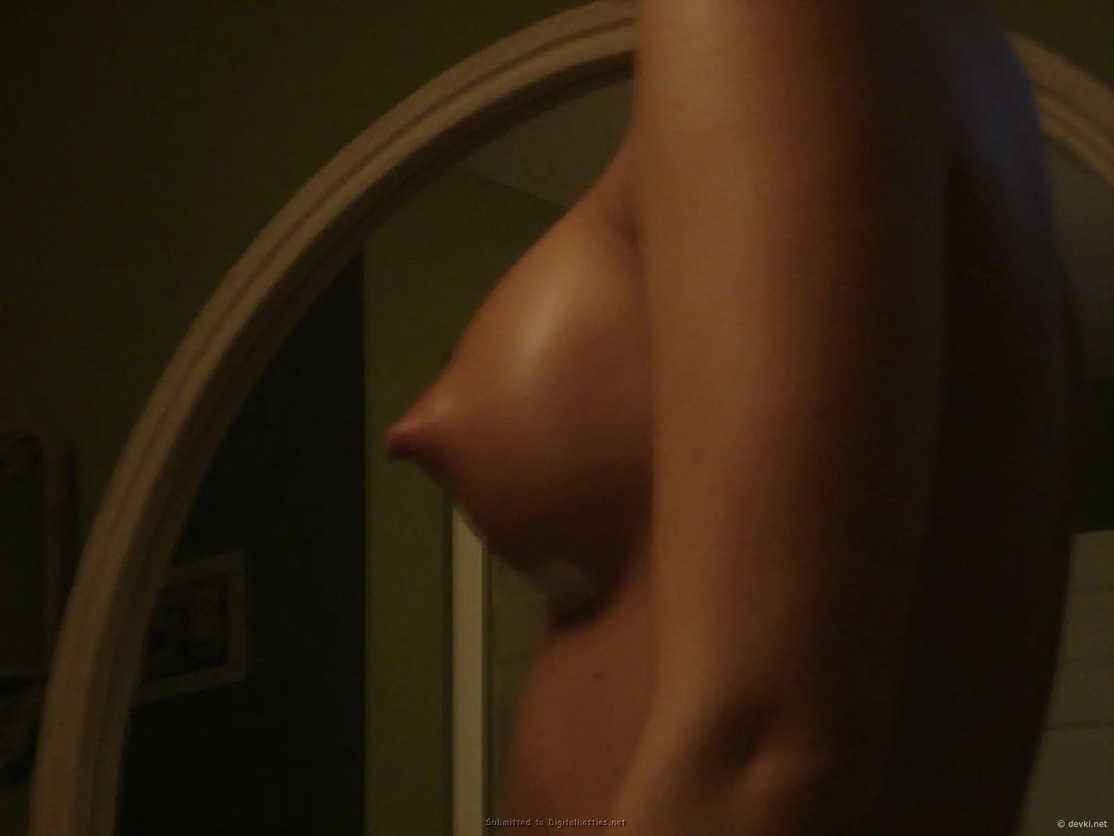 Hot Babe Flaunts Firm Boobs in Amateur Pic