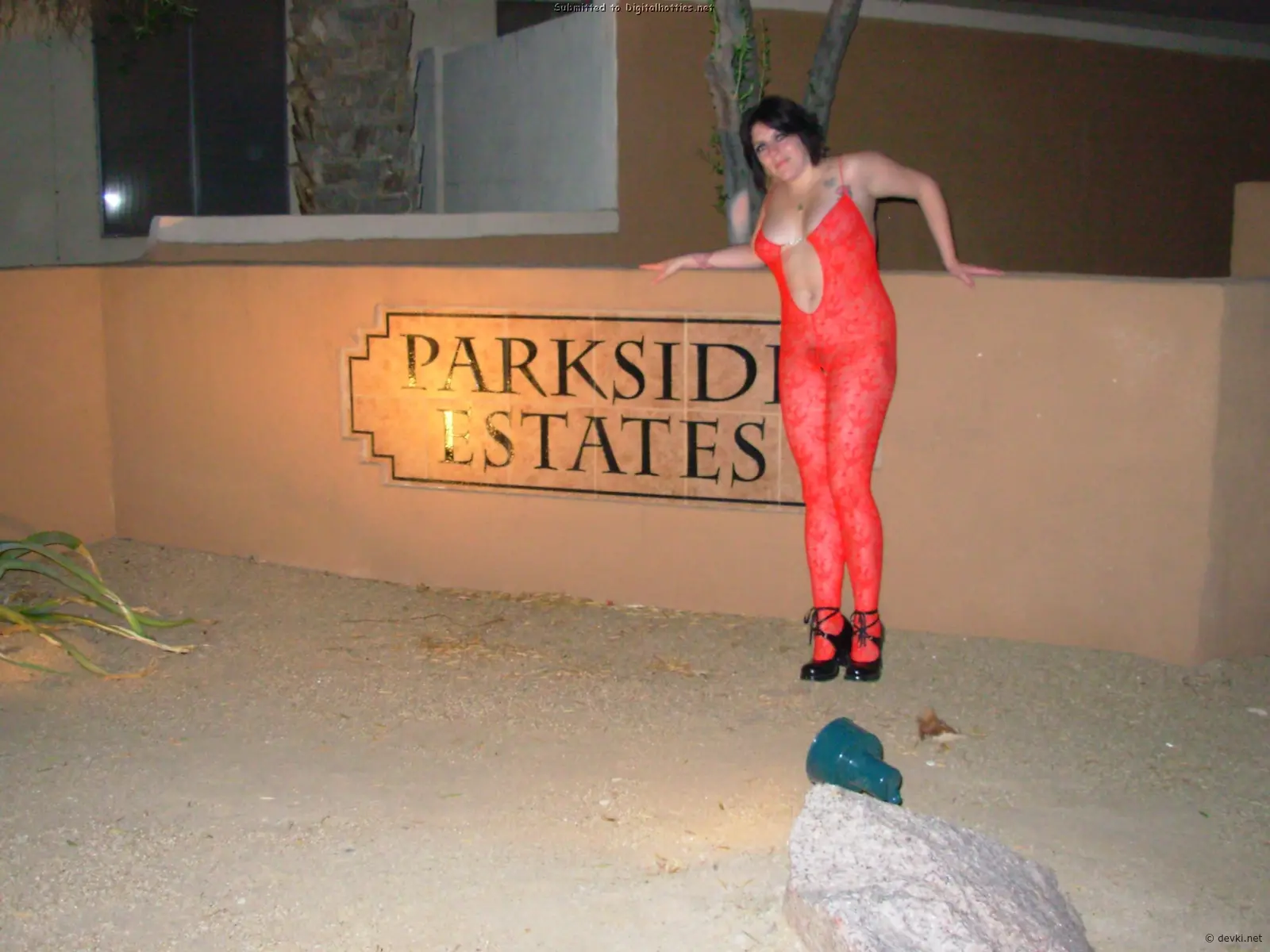 Mature Slut Flaunts Herself: Explicit Amateur Photo of a Naughty Milf